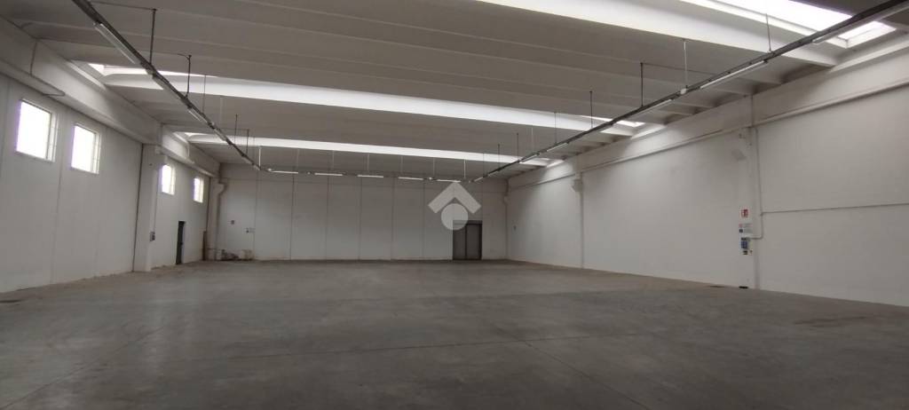 immagine annuncio 10 di 12