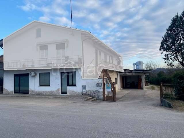 immagine annuncio 8 di 14