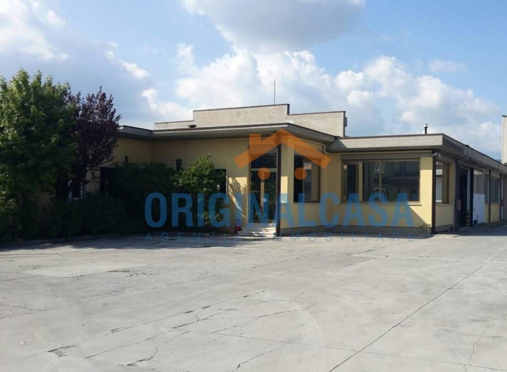 immagine annuncio 3 di 6