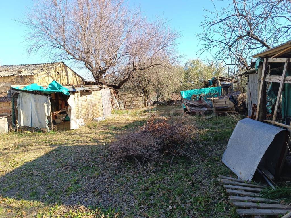 immagine annuncio 1 di 6