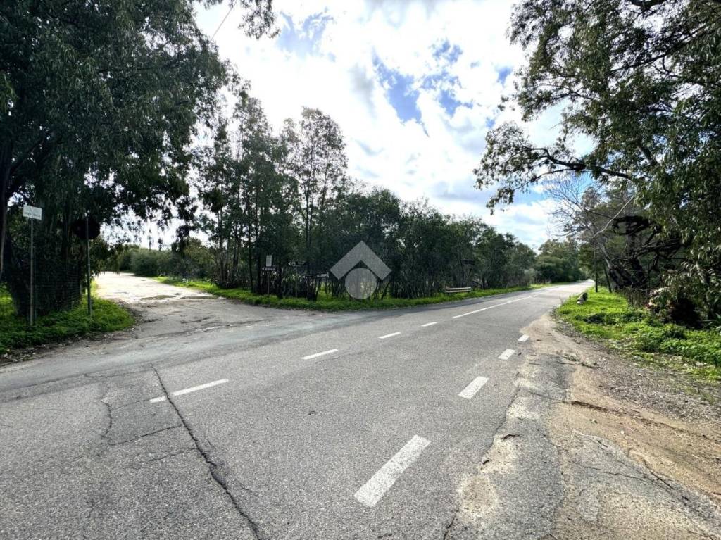 immagine annuncio 3 di 8