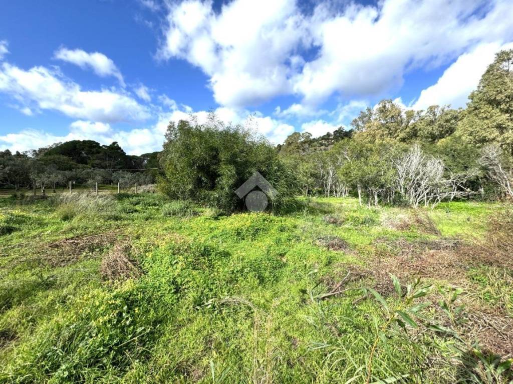 immagine annuncio 6 di 8