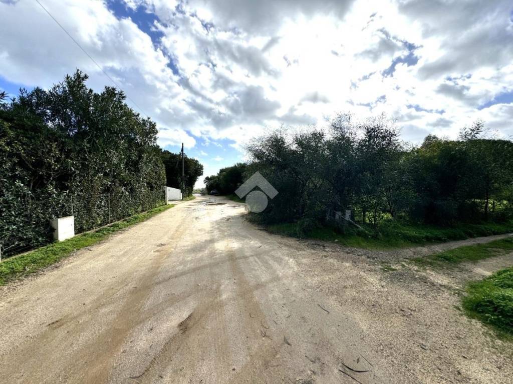 immagine annuncio 7 di 8