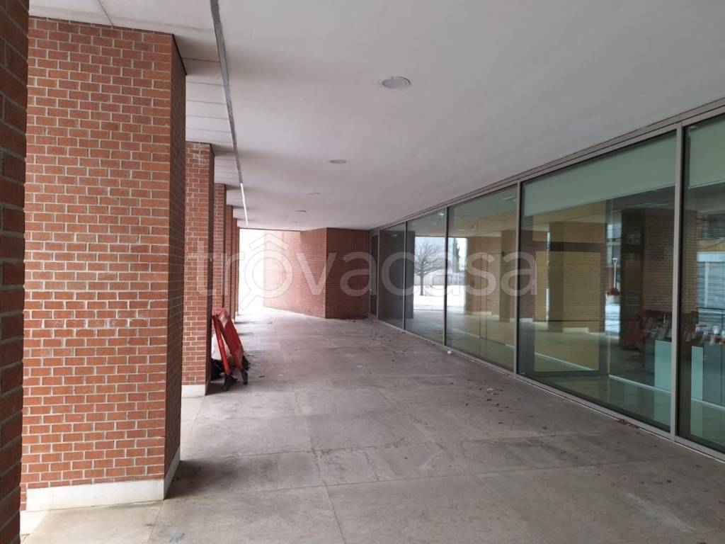 immagine annuncio 7 di 13