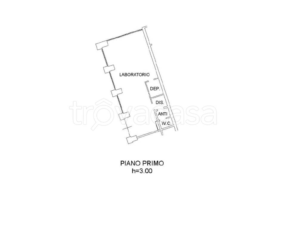 immagine annuncio 3 di 7