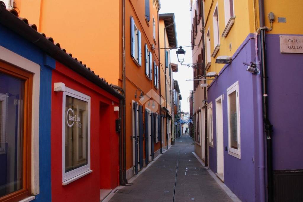 immagine annuncio 4 di 11