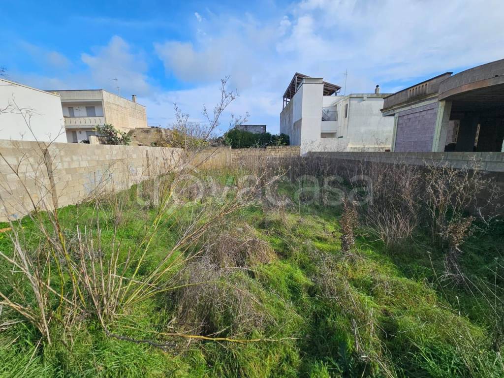 immagine annuncio 3 di 6