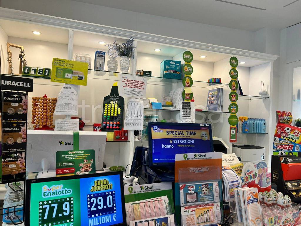 immagine annuncio 6 di 7