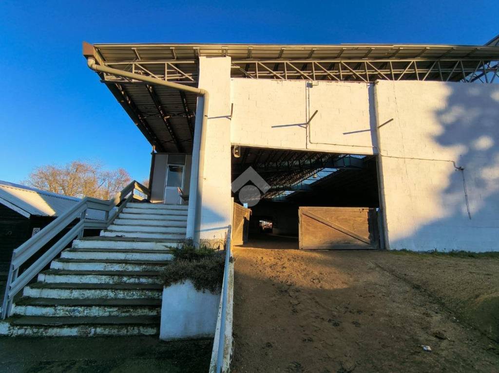 immagine annuncio 1 di 14