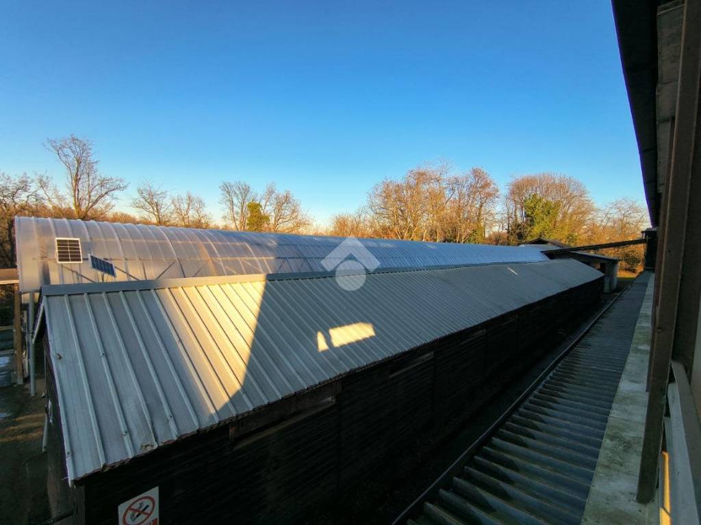 immagine annuncio 3 di 14