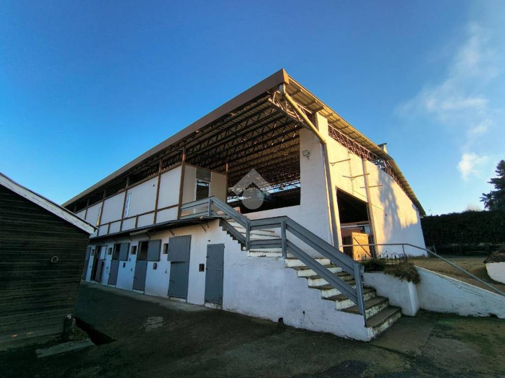 immagine annuncio 4 di 14