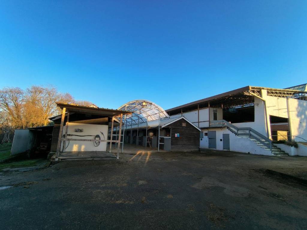 immagine annuncio 5 di 14