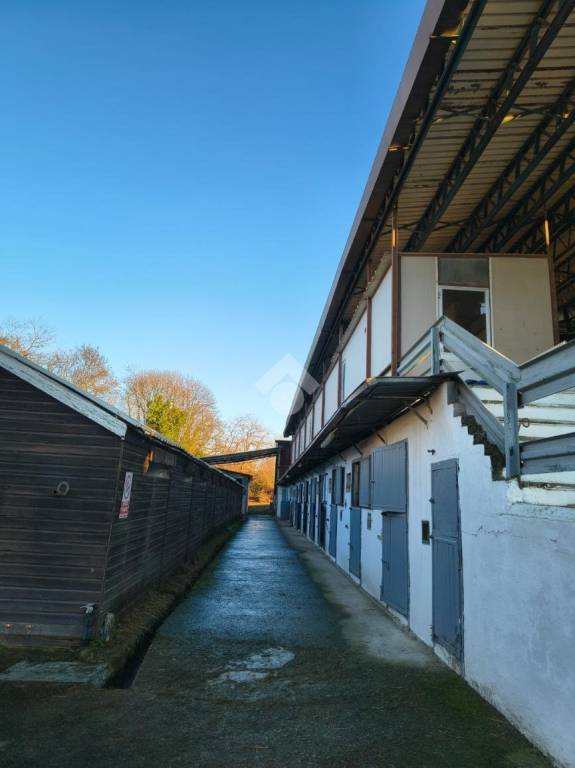 immagine annuncio 8 di 14