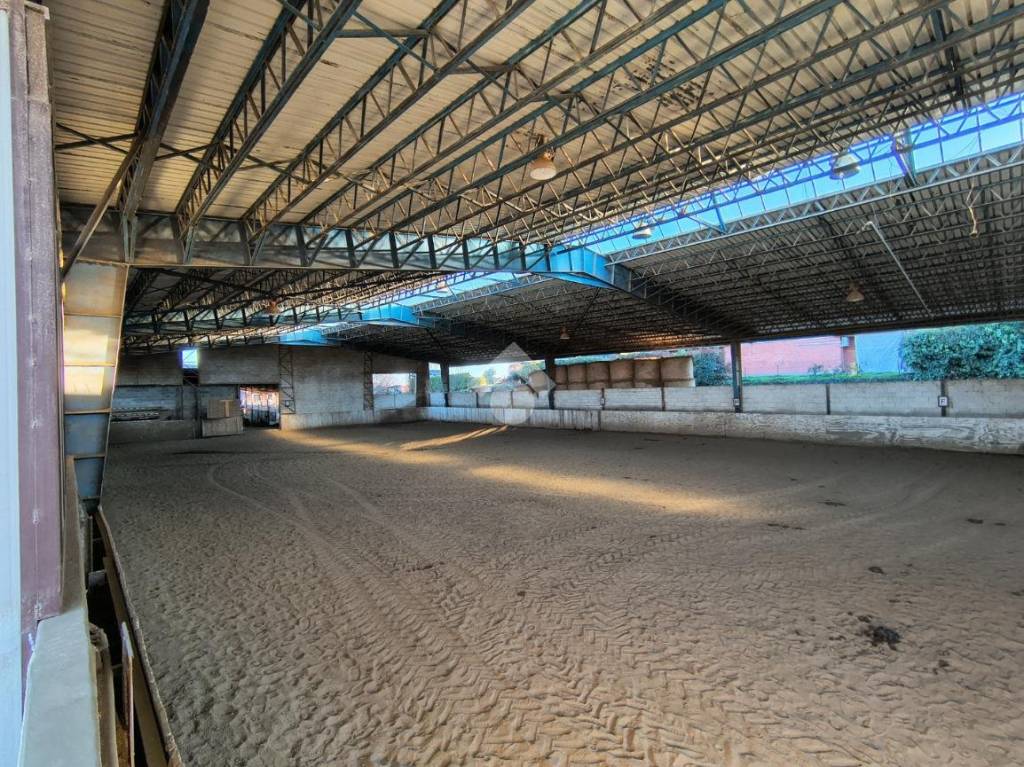 immagine annuncio 10 di 14