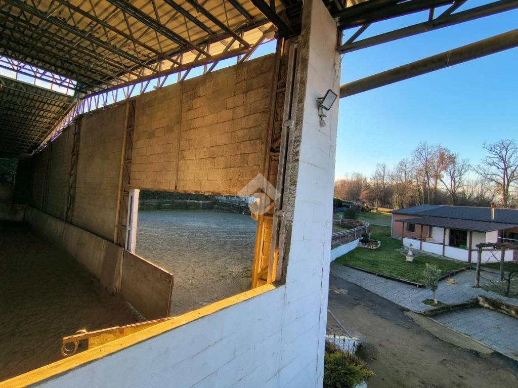 immagine annuncio 11 di 14