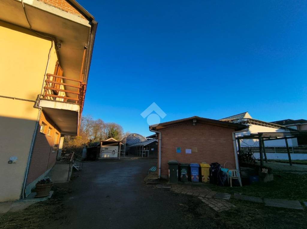 immagine annuncio 12 di 14