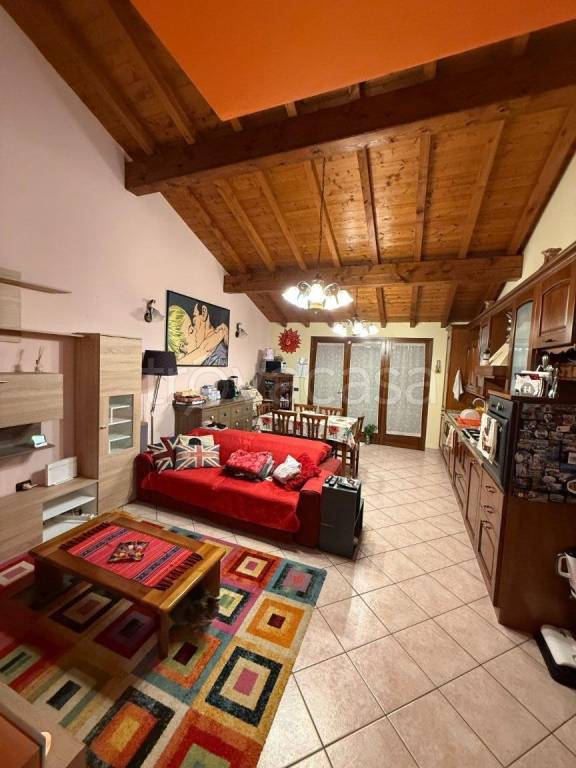 immagine annuncio 1 di 14