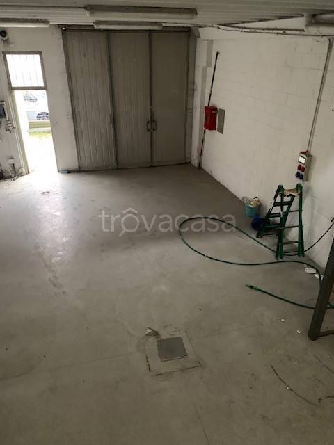 immagine annuncio 4 di 11