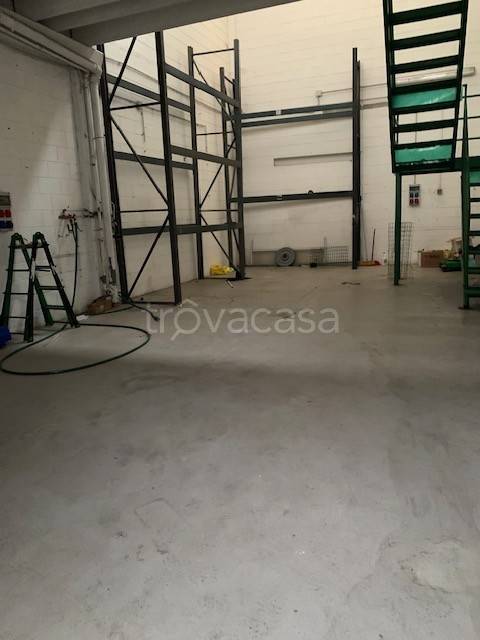 immagine annuncio 8 di 11