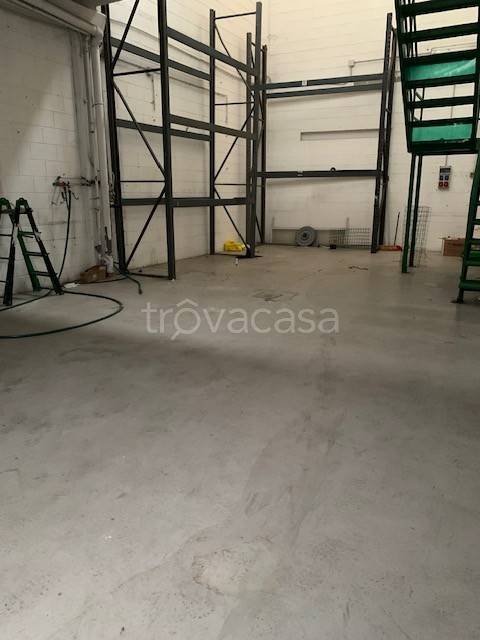 immagine annuncio 9 di 11