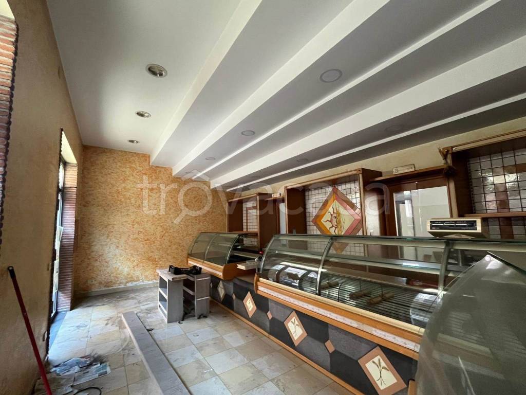 immagine annuncio 2 di 12