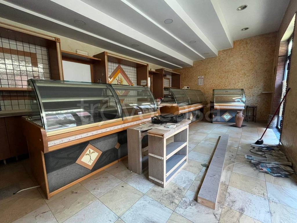 immagine annuncio 3 di 12