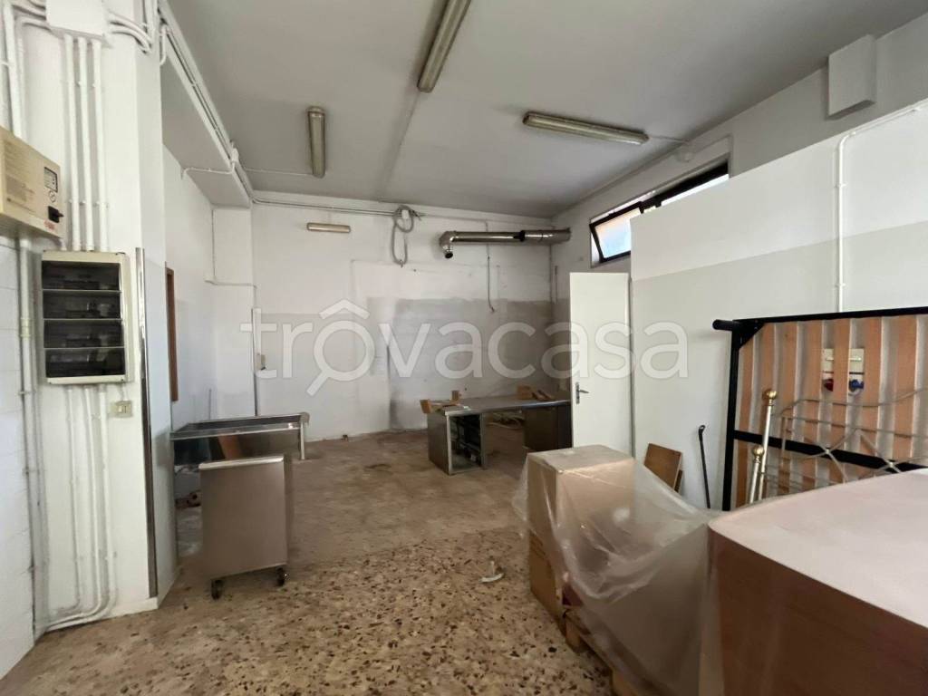 immagine annuncio 7 di 12