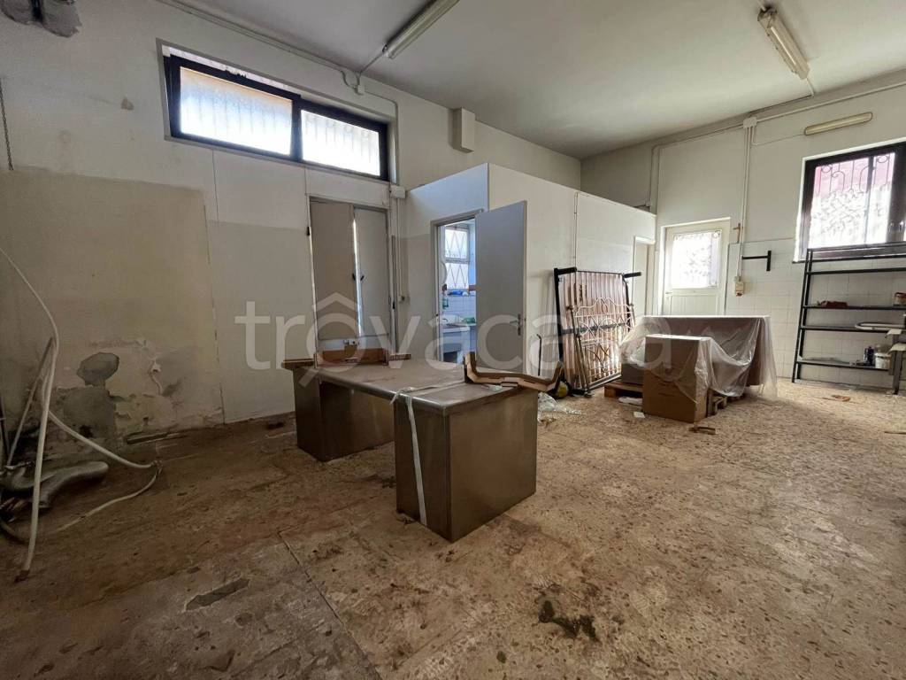 immagine annuncio 8 di 12