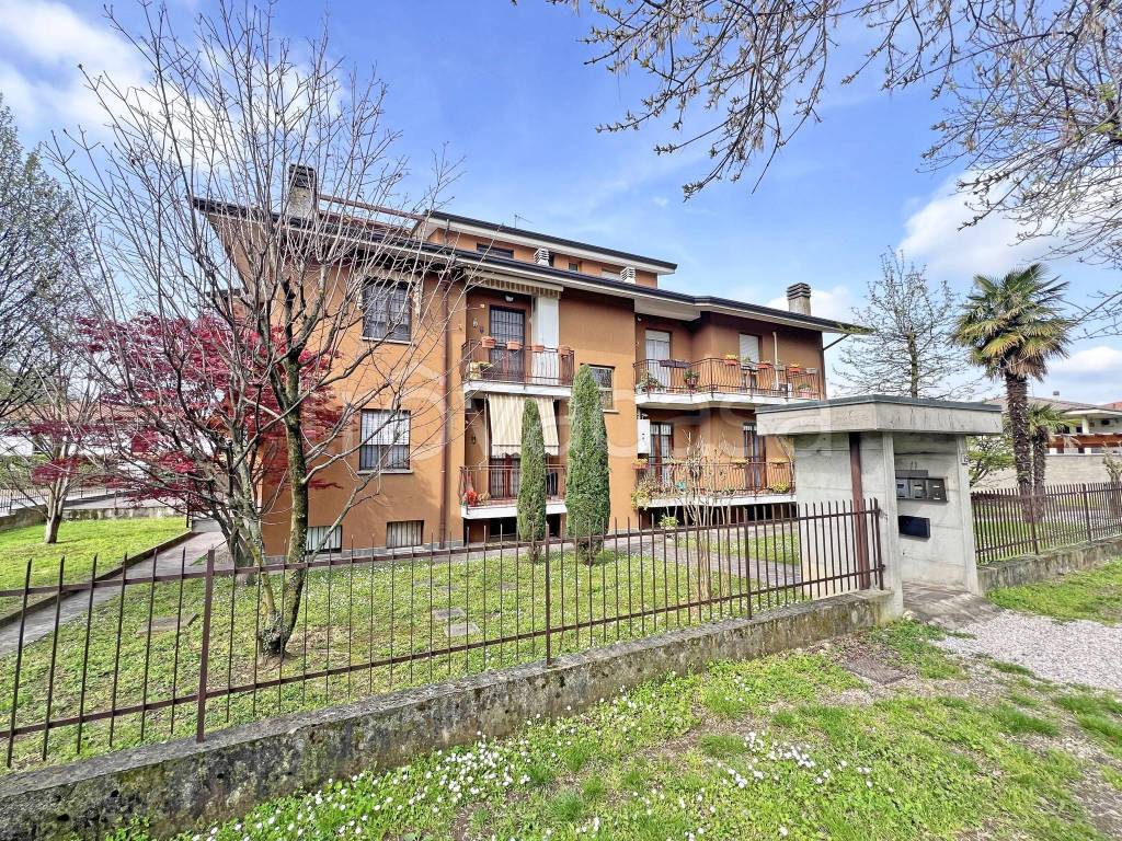 immagine annuncio 7 di 15