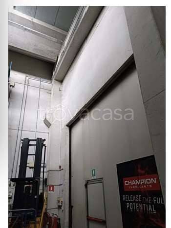 immagine annuncio 3 di 8