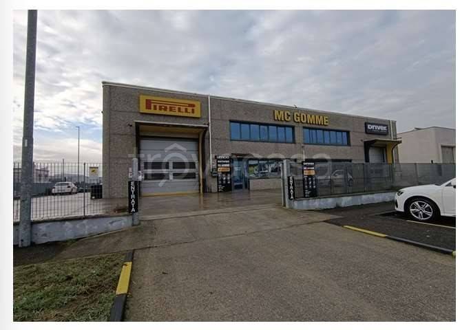 immagine annuncio 5 di 8