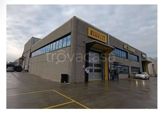 immagine annuncio 6 di 8