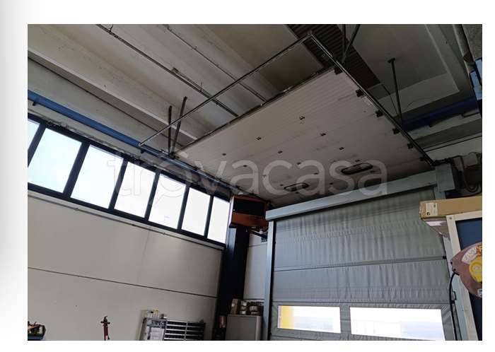 immagine annuncio 7 di 8