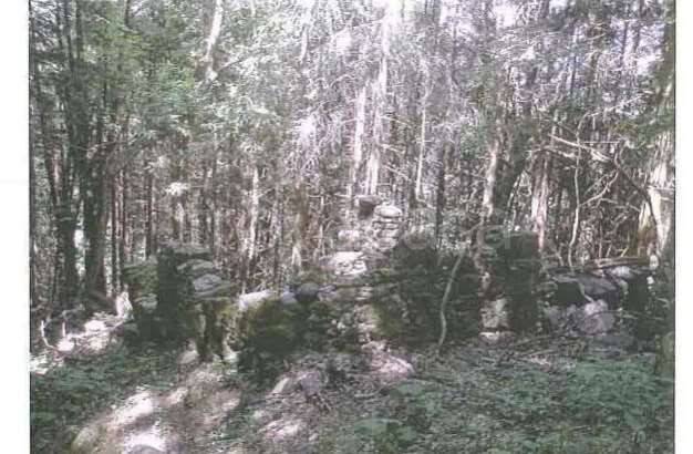 immagine annuncio 4 di 7