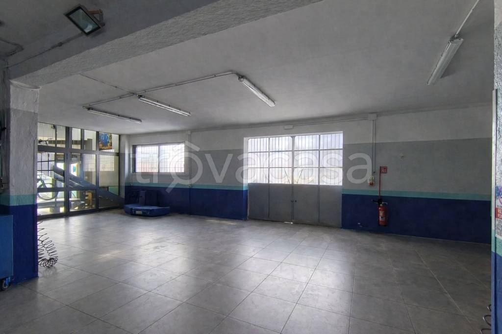 immagine annuncio 8 di 15