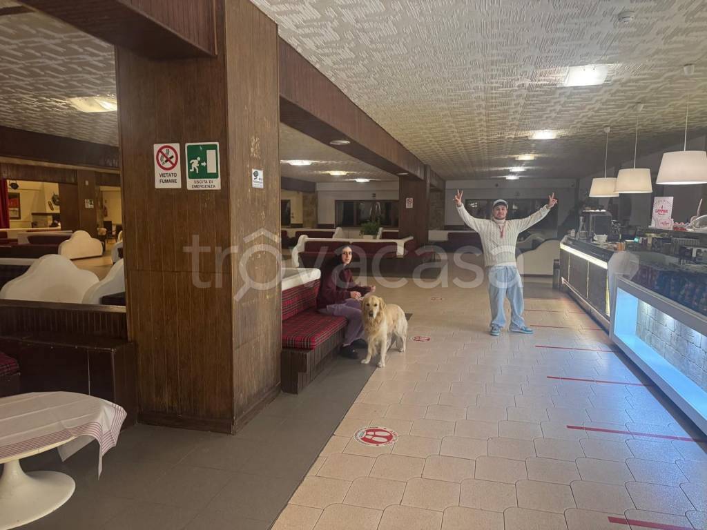 immagine annuncio 10 di 11