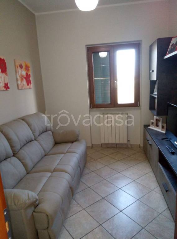 immagine annuncio 5 di 12