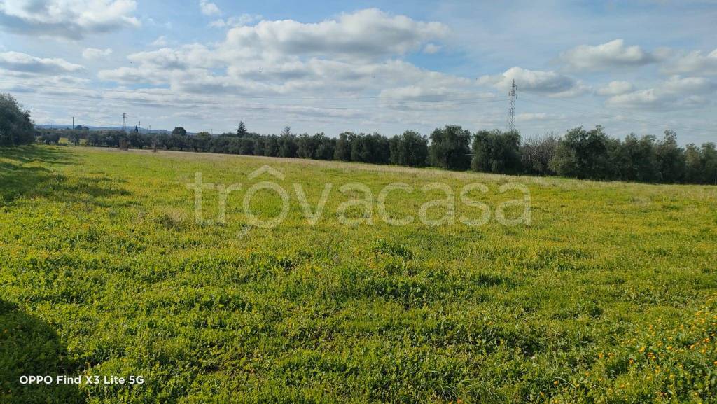 immagine annuncio 1 di 4