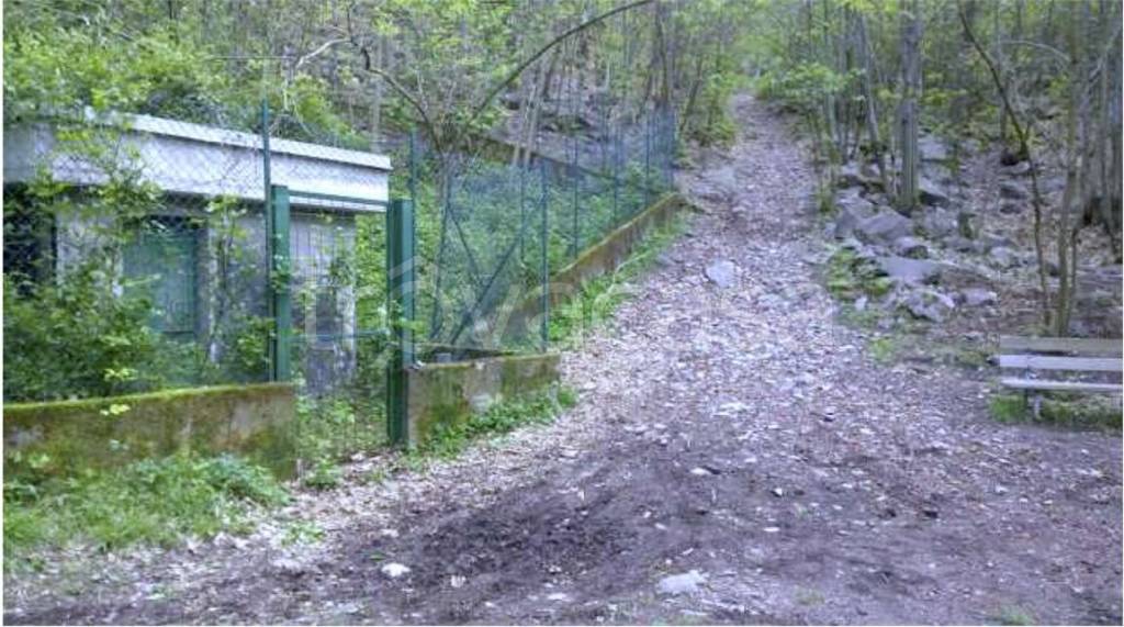 immagine annuncio 2 di 8