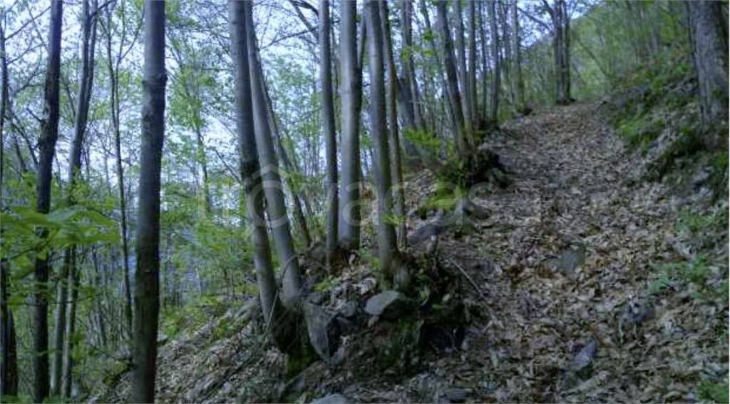 immagine annuncio 6 di 8