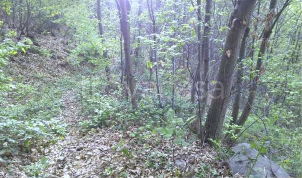 immagine annuncio 7 di 8