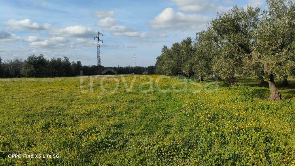 immagine annuncio 2 di 4