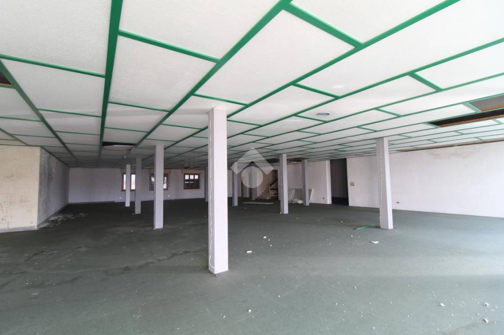 immagine annuncio 2 di 11