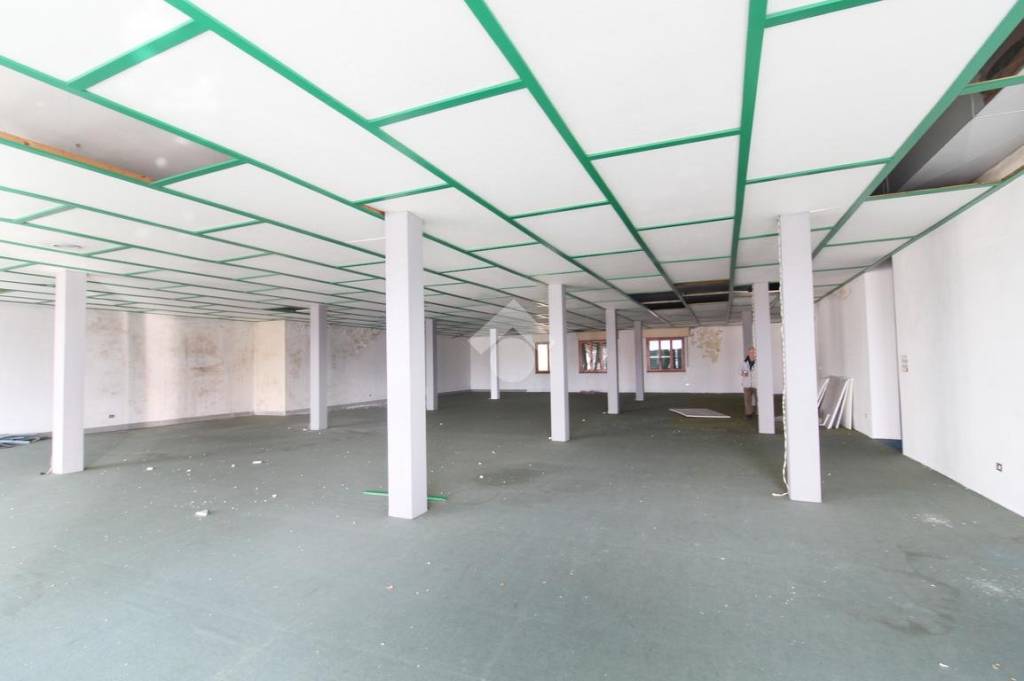 immagine annuncio 3 di 11