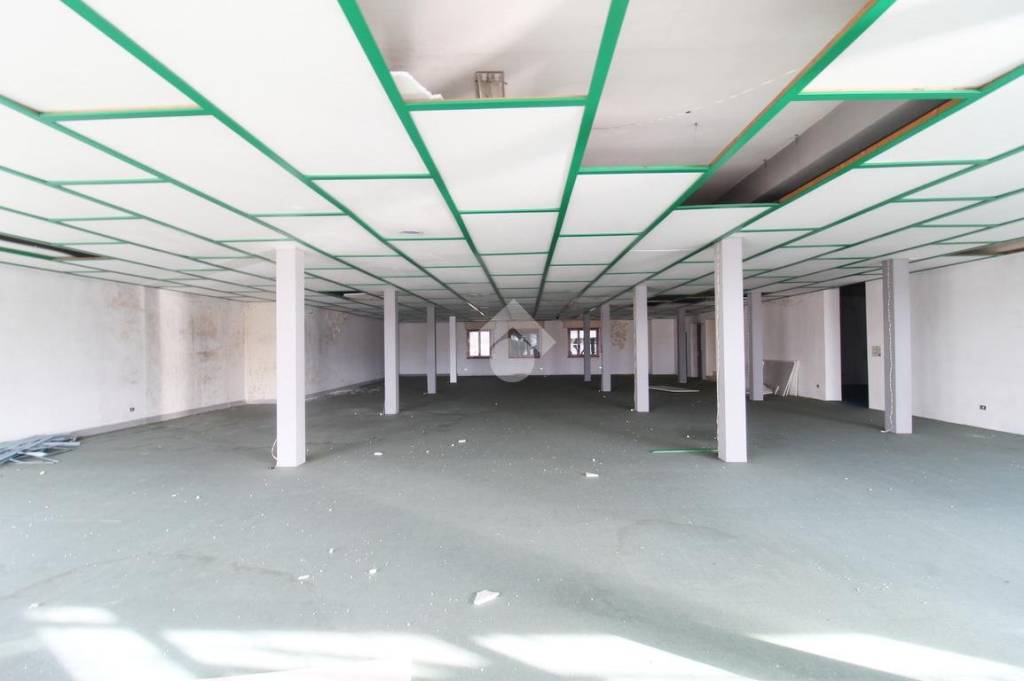 immagine annuncio 4 di 11