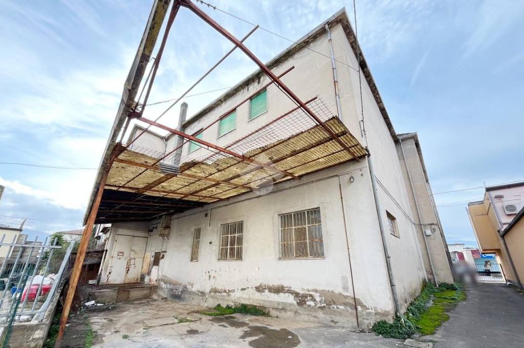 immagine annuncio 10 di 11