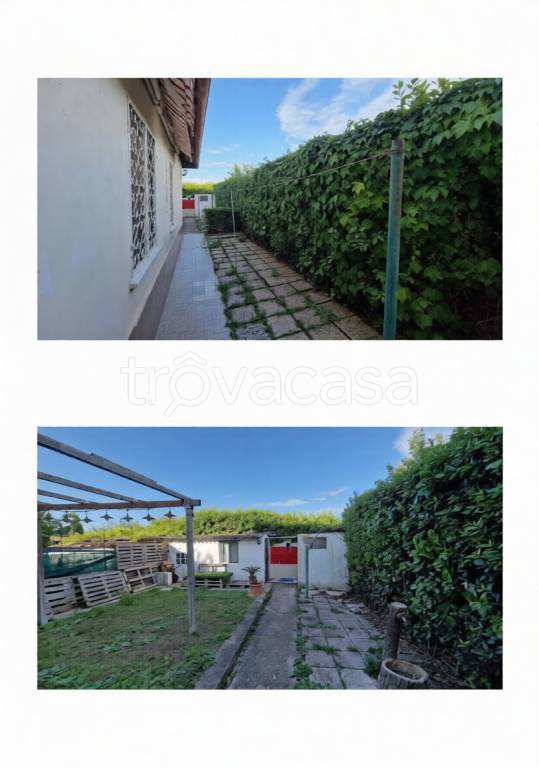 immagine annuncio 1 di 2