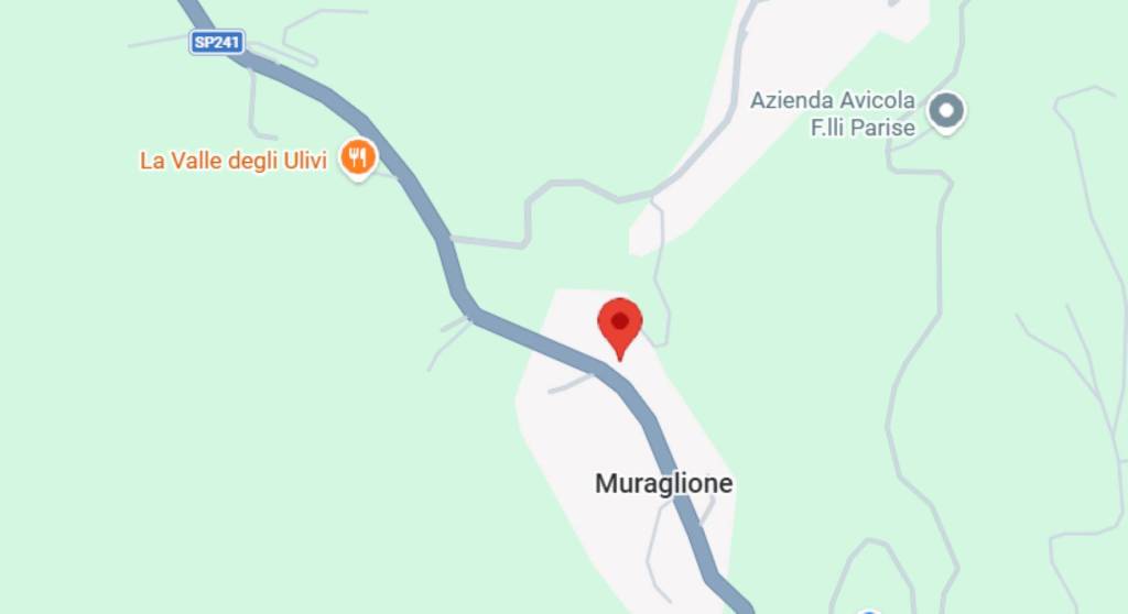 immagine annuncio 3 di 13