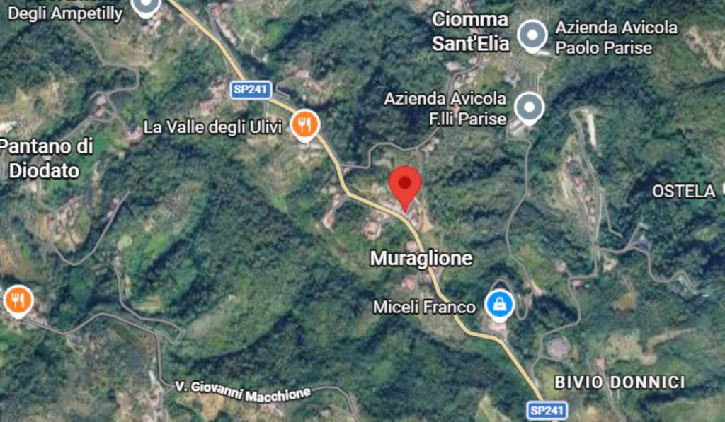 immagine annuncio 5 di 13