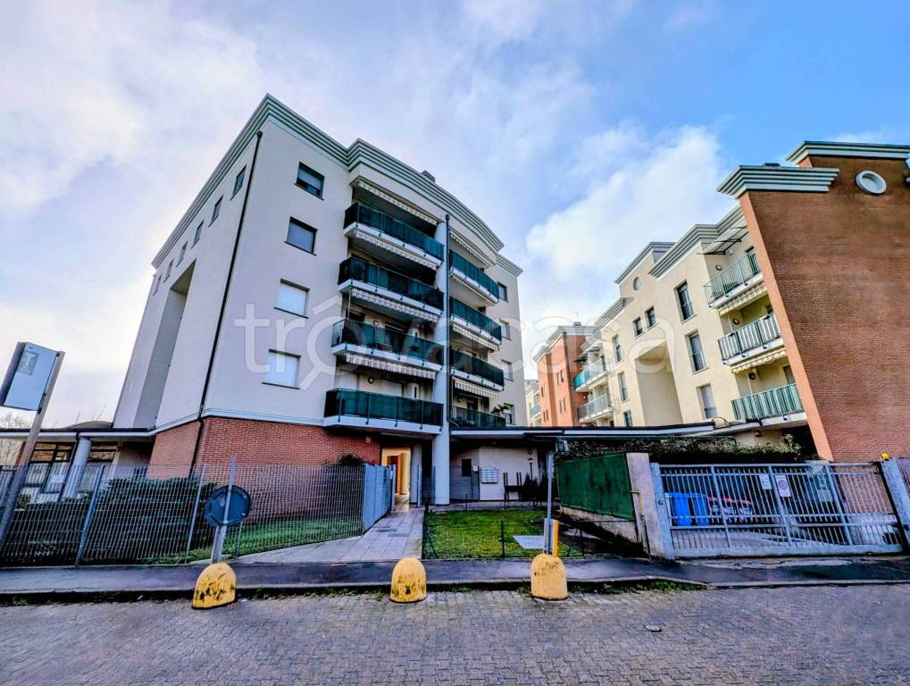 immagine annuncio 1 di 15